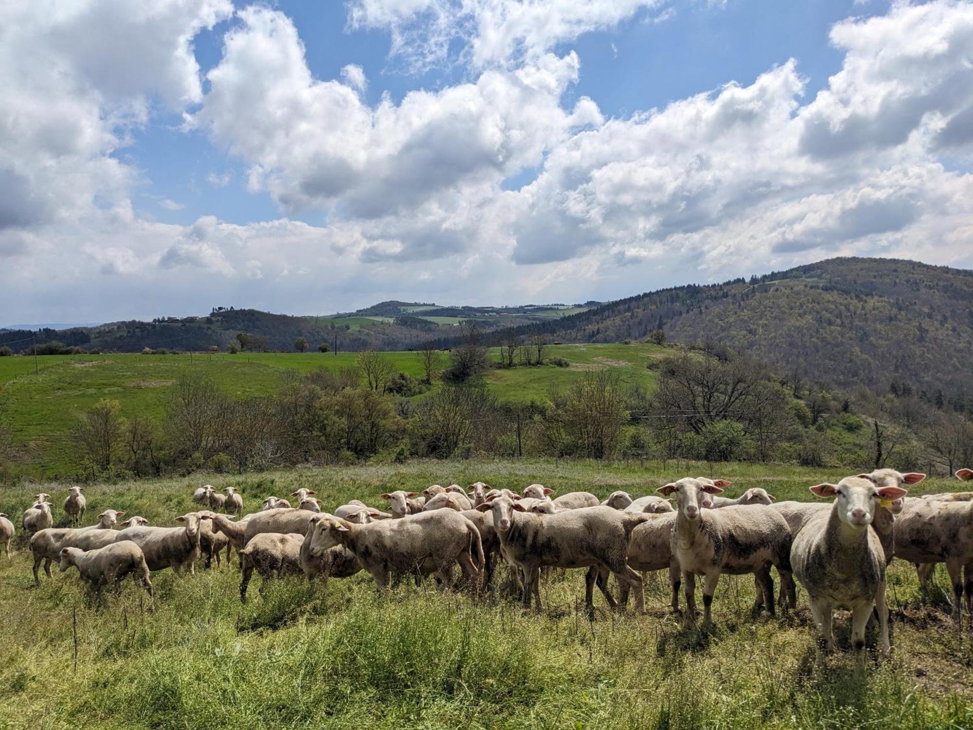 La Grange, Le Hameau Des Volcans - Deconnexion Face A La Vue Saint-Just-pres-Brioude Exteriör bild